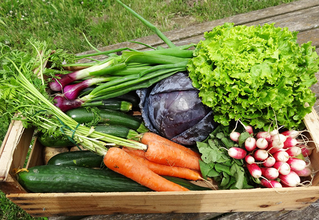 Paniers-legumes-20160615